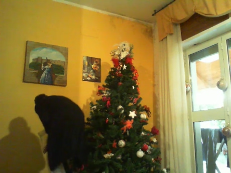 martinabigst  11-01-2022